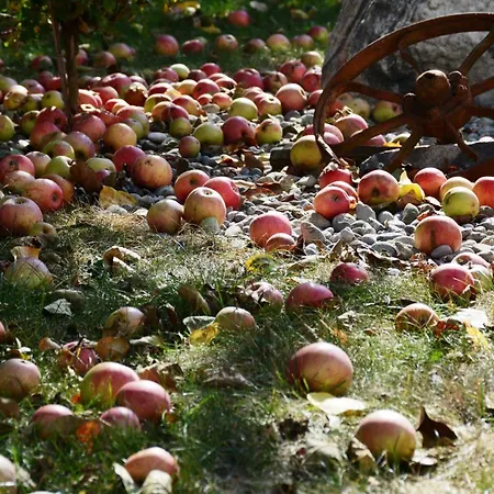 Landhof Lydia Apartamento *