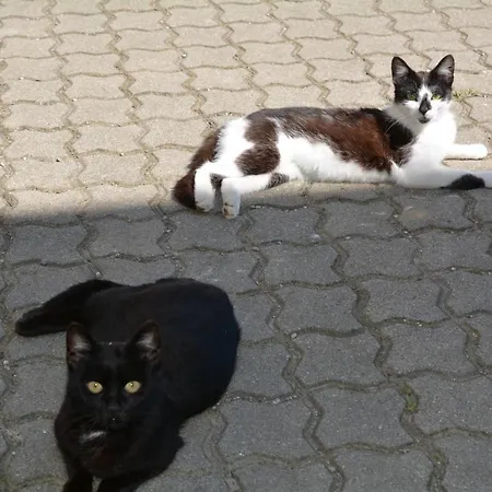 Landhof Lydia Apartamento