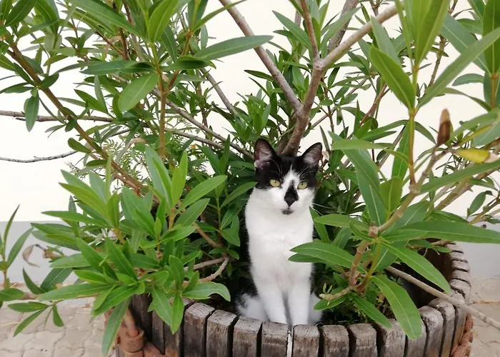 Apartment Landhof Lydia Roggendorf