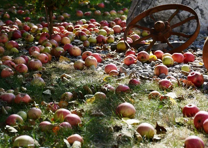 Landhof Lydia Apartment *