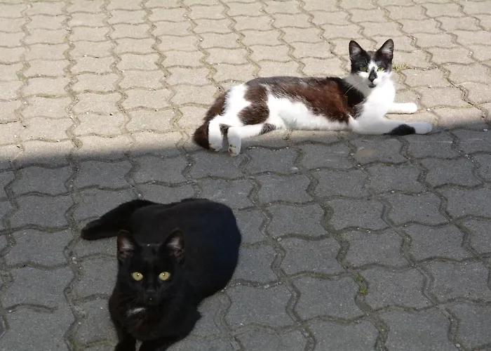 Landhof Lydia Apartment